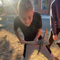 robertgvbfesdb