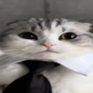 shxyuu2