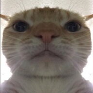 MMEMX