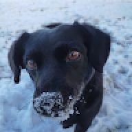 ksyku