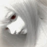 Snolwik