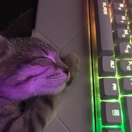 HHH1337