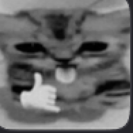 fnfbropolo