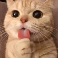 qwexo