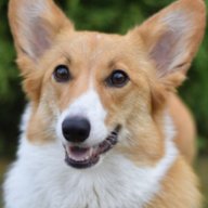 MavePad