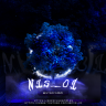 narc1ssus