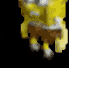 evgenPokemoll