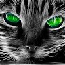 Angel_Niff
