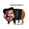 kasetoss_lol