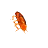artemensyi