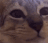 Pitsa84