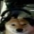 Dogz
