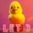 Hyb_1991