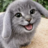 ShaityHackerHVH