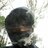 Mapel