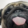 хороший кфг для легита с очень крассивыми визуалами