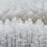 White legit conifg | Белый легит конфиг (EVERYTHING IN DESC | ВСЁ В ОПИСАНИИ)
