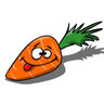 COMMUNITY RAGE CFG 🥕